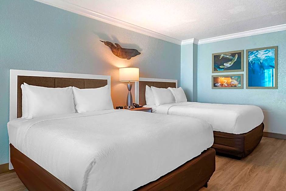 Winter the Dolphin's Beach Club, Ascend Hotel Collection
