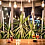 Hotel Delfino
