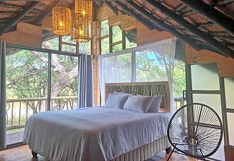 Letoane@krugerpark