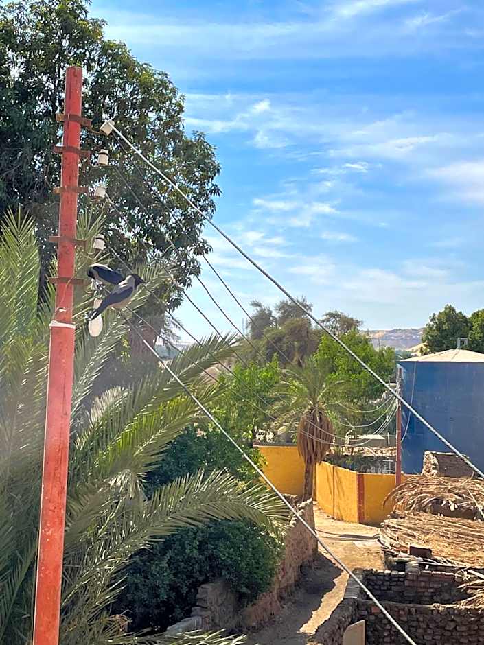 Seko Kato Nile View Hostel