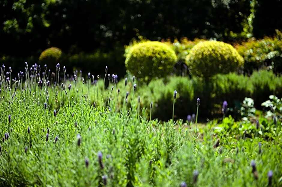 ArendsRus Country Resort