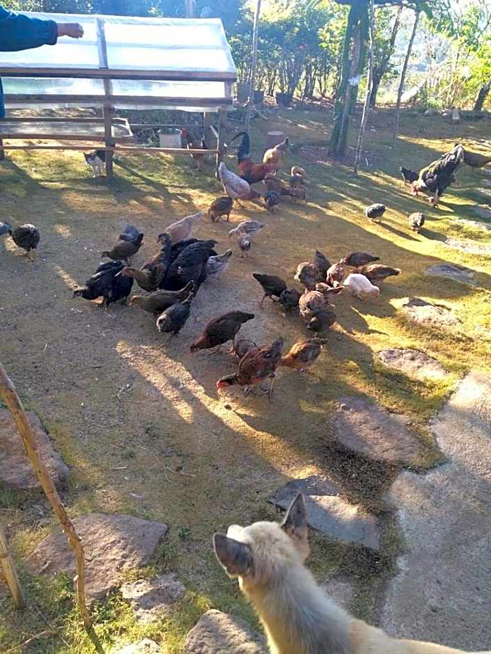 Banga-an BnB and Coffee House