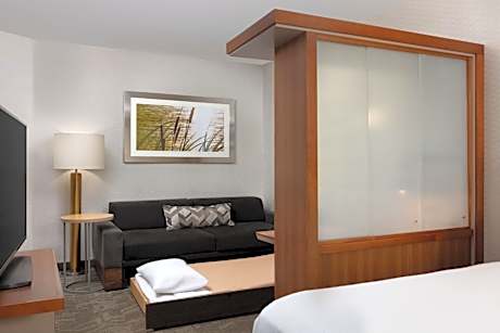 King Suite with Sofa Bed