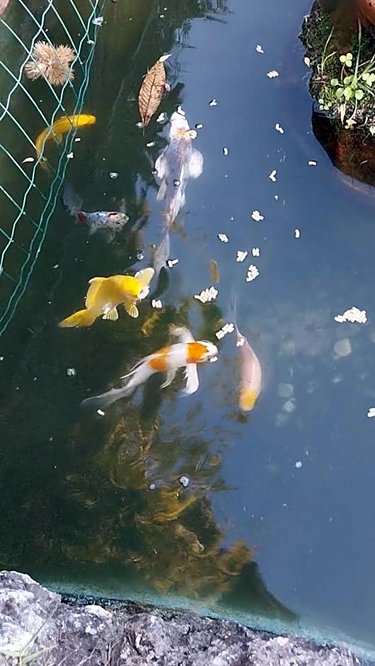 La Casa Gialla A MONTIGNOSO