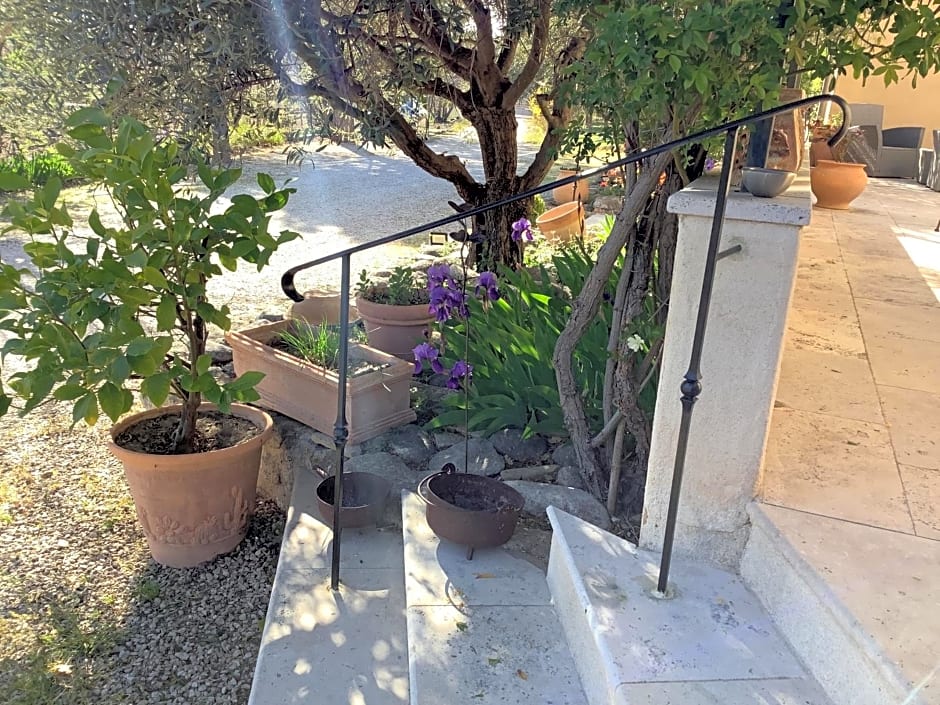 jardin d'antan