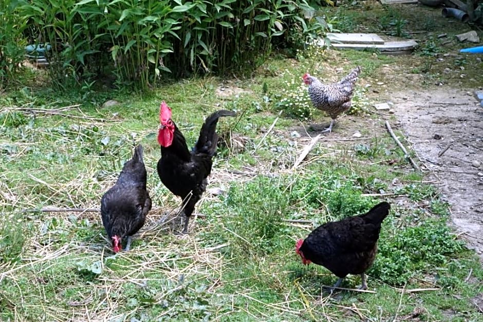 B&B - Chambres d'Hôtes Acoucoula