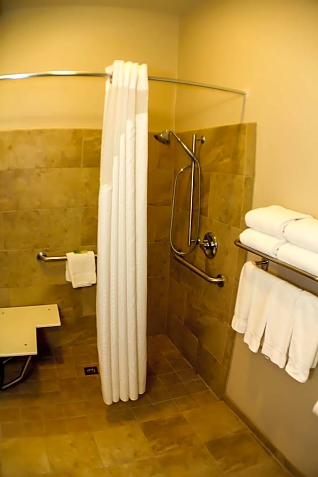 Holiday Inn Express Indianapolis North-Carmel By IHG