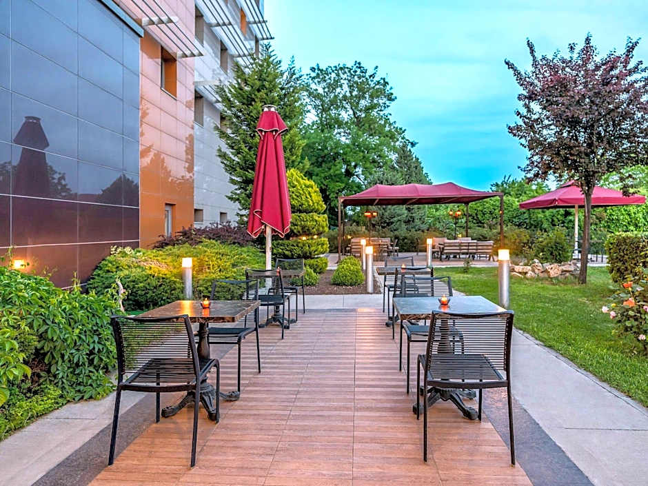 Ibis Bursa