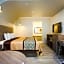 Scottish Inn & Suites - Atascocita