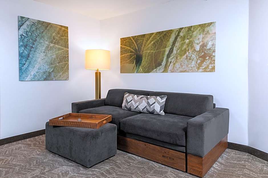 SpringHill Suites by Marriott Sioux Falls