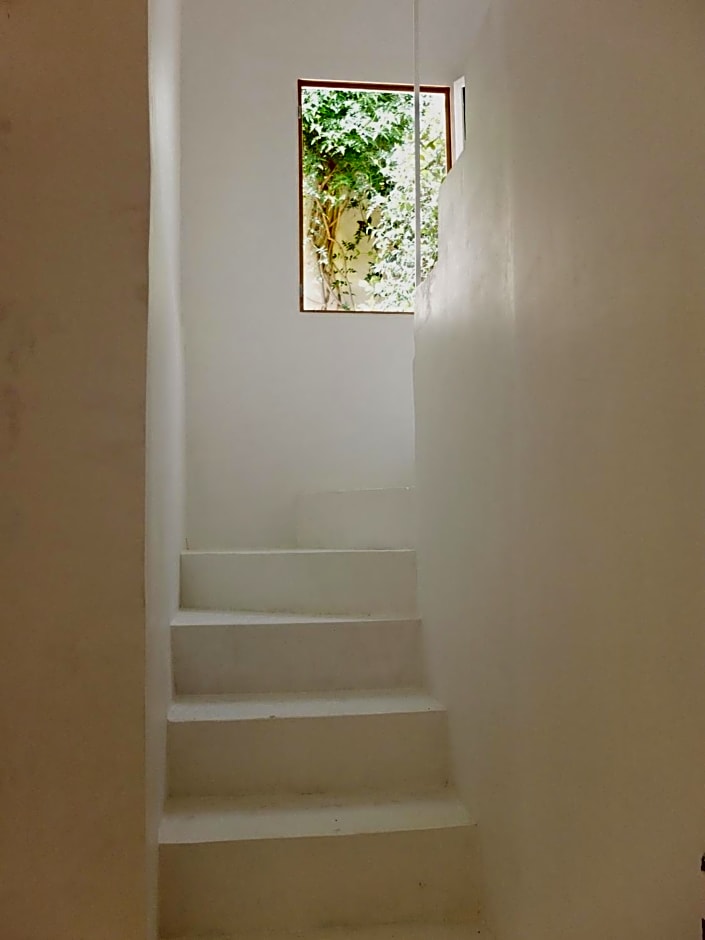 La Maison Jaune – Sete, FL