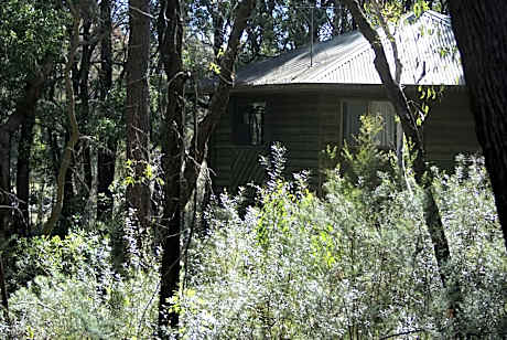 Twin Falls Bush Cottages