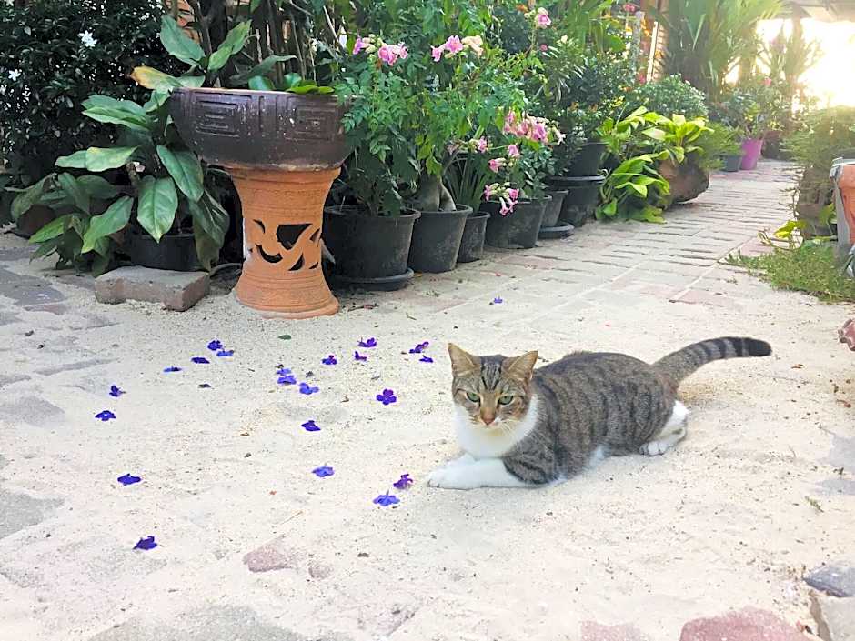 The One Hostel Phi Phi Island