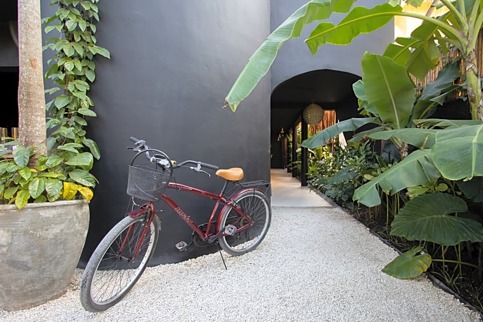 Aroma Tulum