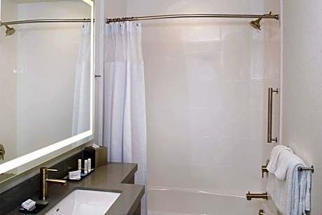 Suite, 1 King Bed with Sofa bed (Hearing Accessible) (1 King Bed and 1 Double Sofa Bed)