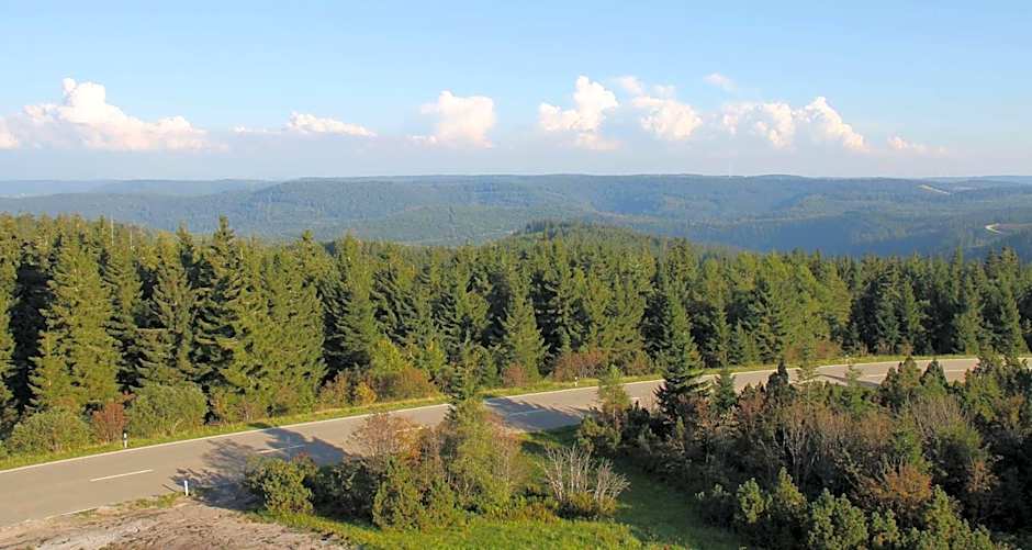 Wellness-& Nationalpark Hotel Schliffkopf, BWSC