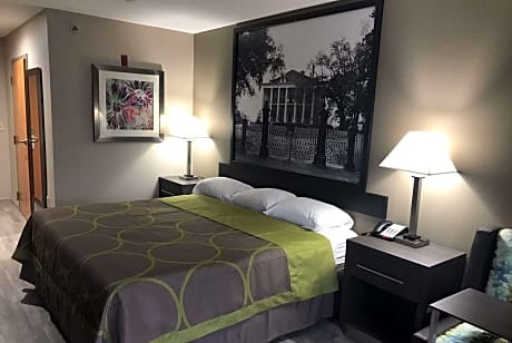 1 King Bed Mobility Accessible Room Smoking