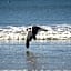Melkbosstrand Bed and Breakfast