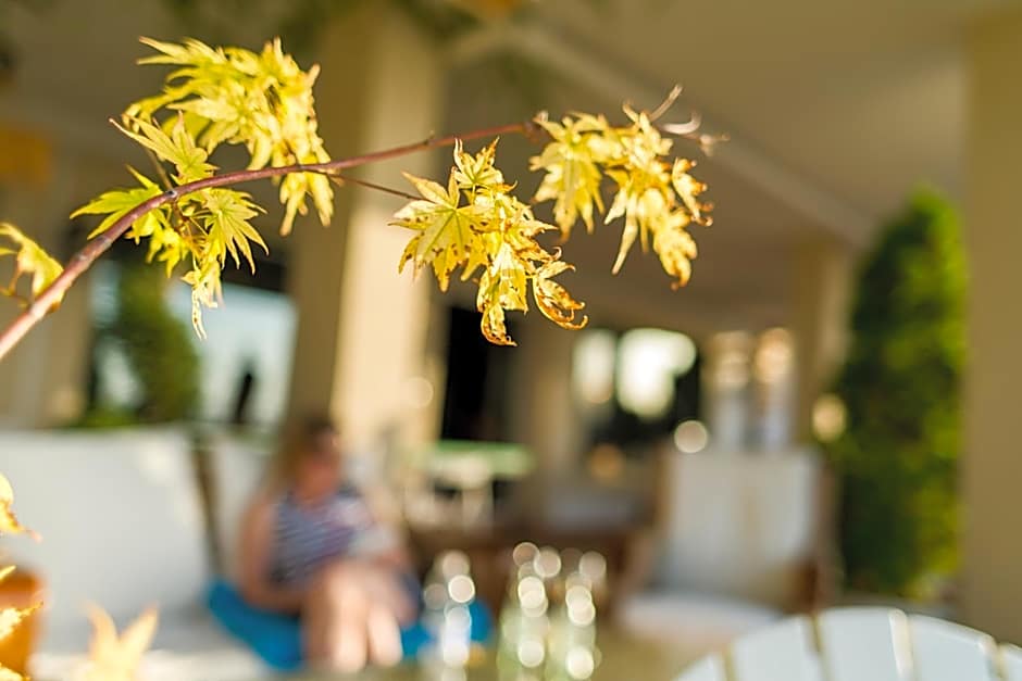 Hotel El Balcon de las nieves