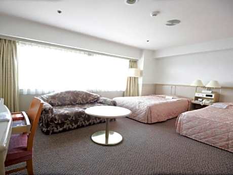 Deluxe Twin Room - Smoking