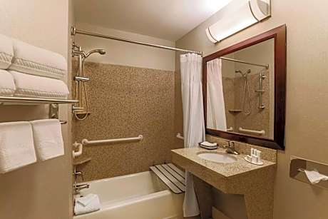 Suite Accessible King Size Bed