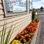 Coleraine Suites & Apartments