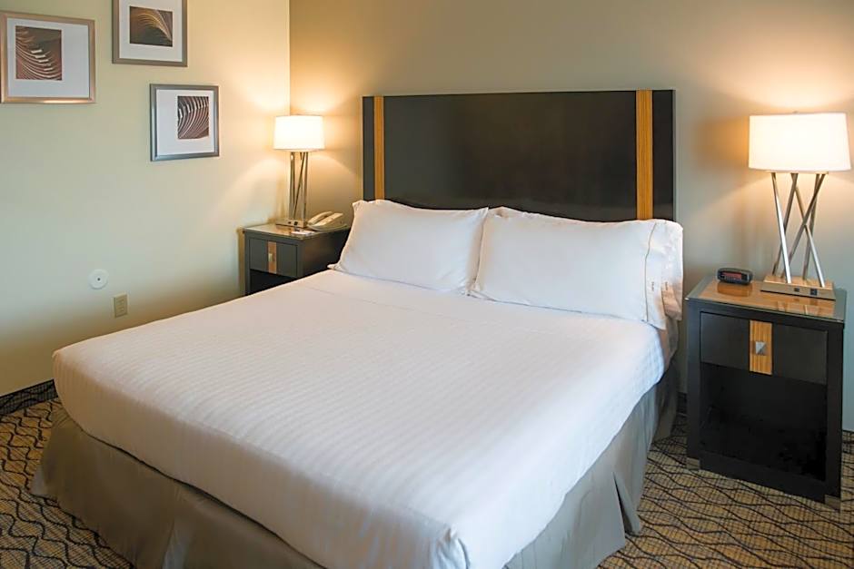 Holiday Inn Express Hotel & Suites Chanhassen By IHG