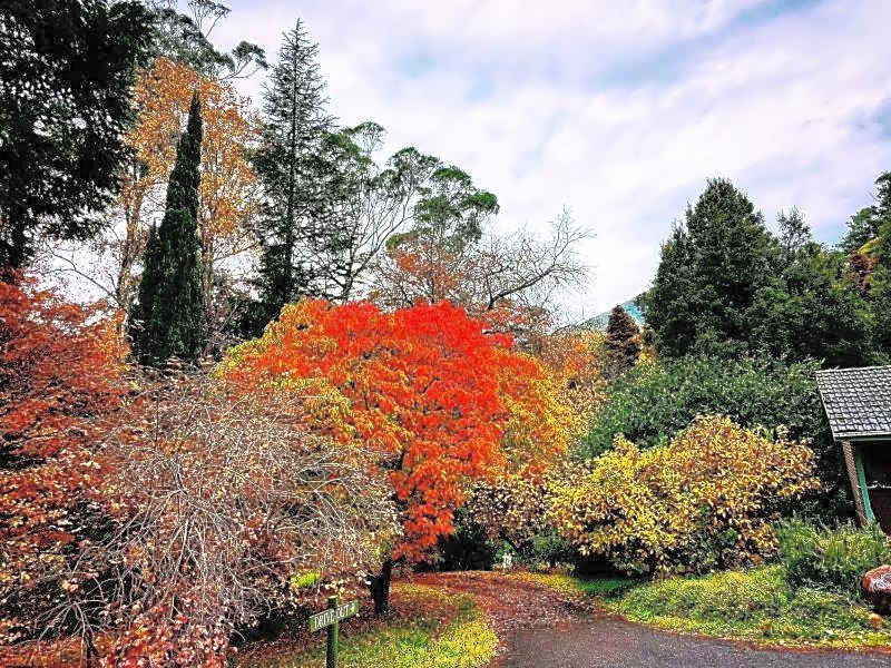 Green Gables Motel in Warburton