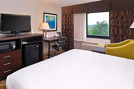 1 King Bed Pet-Friendly Non-Smoking