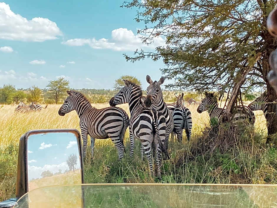 Foresight Eco Lodge & Safari