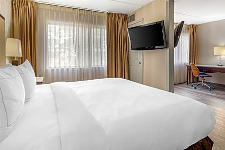 King Suite with Bath Tub and Sofa Bed - Disability Access/Pet Friendly/Non-Smoking