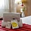Brit Hotel Confort Castres