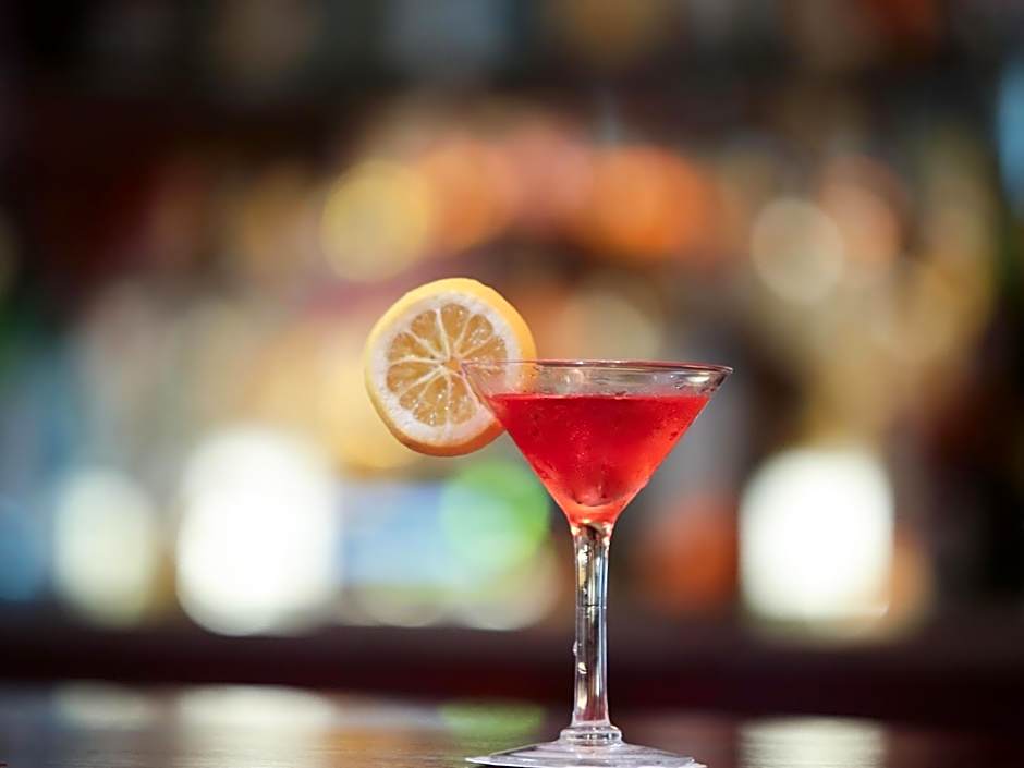 Jupiter International Hotel Bole