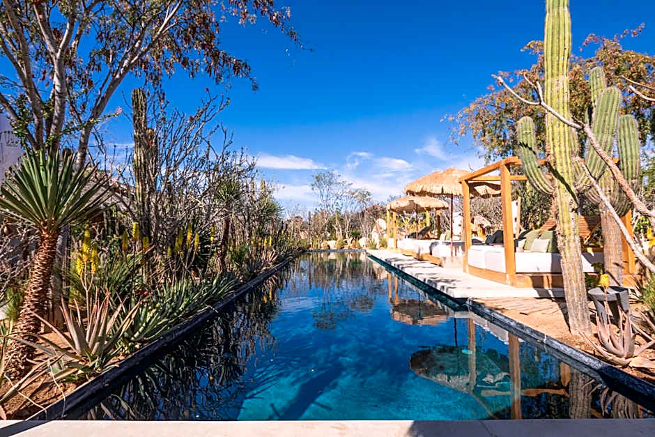 El Perdido Desert Dream- Todos Santos Adults Only
