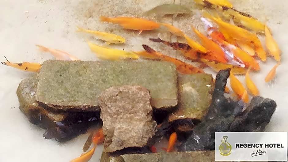 REGENCY HOTEL DE VIGAN