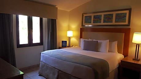 ONE BEDROOM VILLA