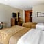 Quality Inn Stephens City-Winchester South