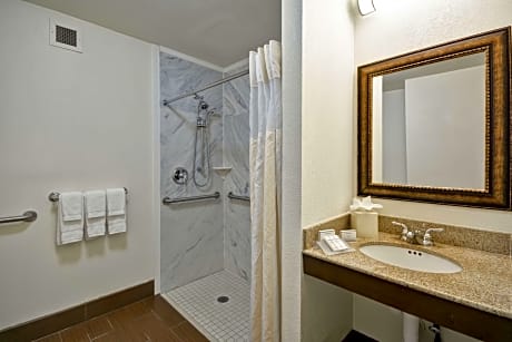 1Kng Suite Mobility/Hearing Access Ri Shwr