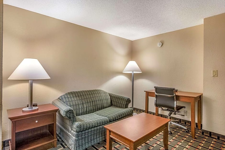 Econo Lodge Inn & Suites Marietta