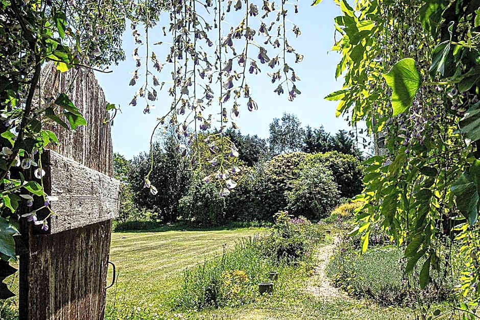 Cosy Wolf Bed & Breakfast