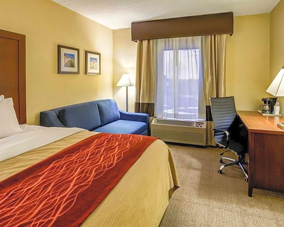 Comfort Inn Lexington Southeast