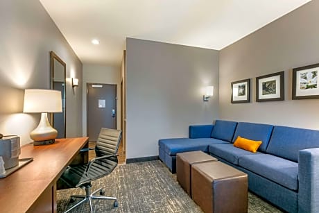 1 King Bed, Suite, No Smoking