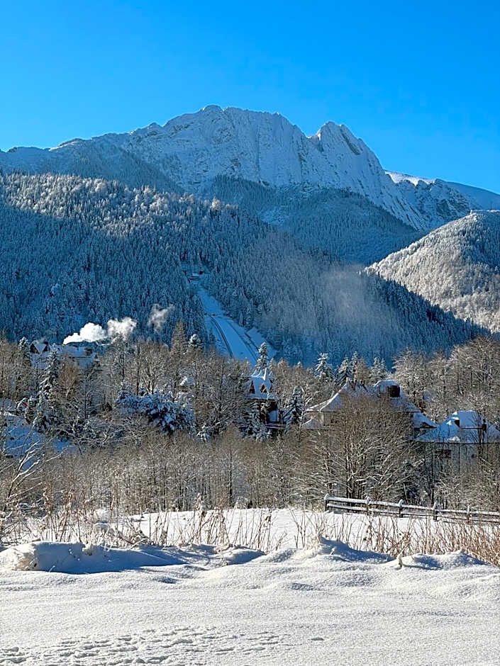 Villa 11 Folk & Design