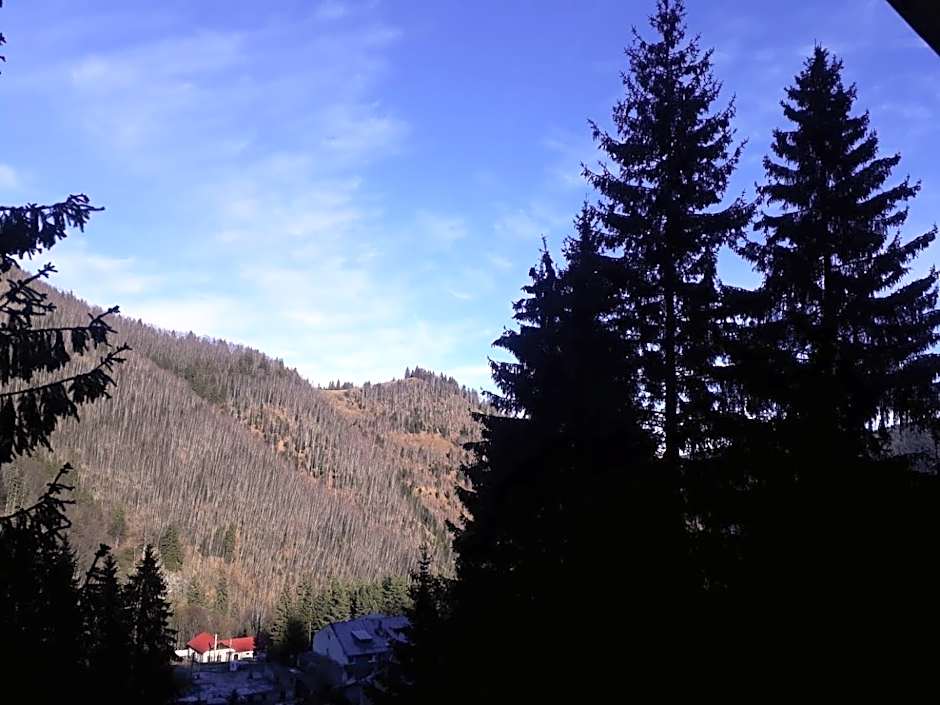 Cabana "Trei Brazi " Retezat