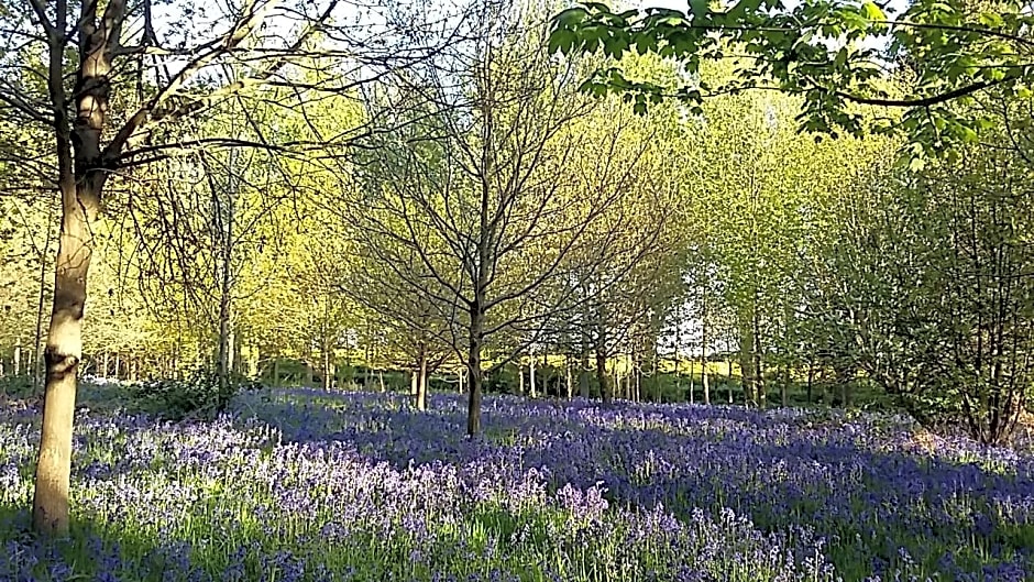 Hollicarrs - Newlands