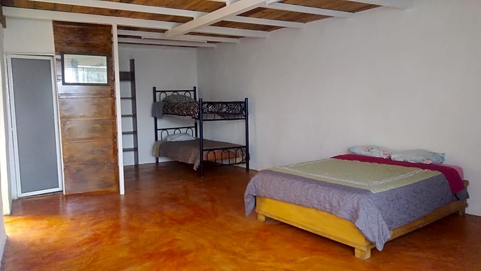 La casa del nenufar
