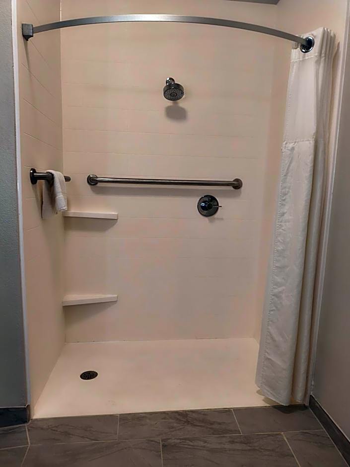 Photo 1 of 3 of Studio 1 King Bed Suite, Mobility Accessible, Roll in Shower