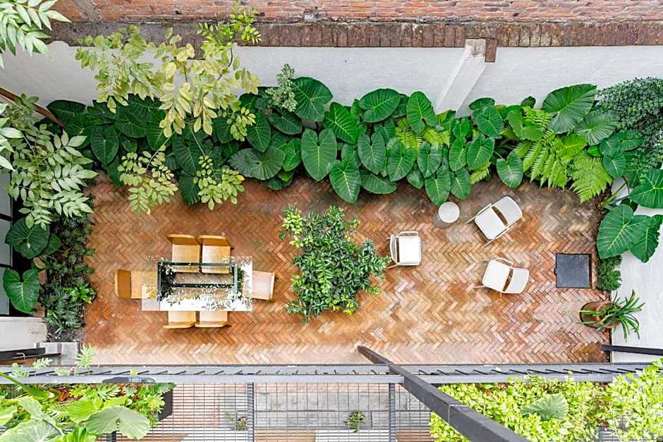 Casa Danubio Reforma by VH