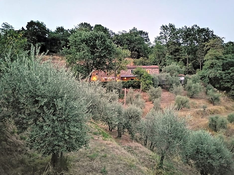 Agriturismo Tananei