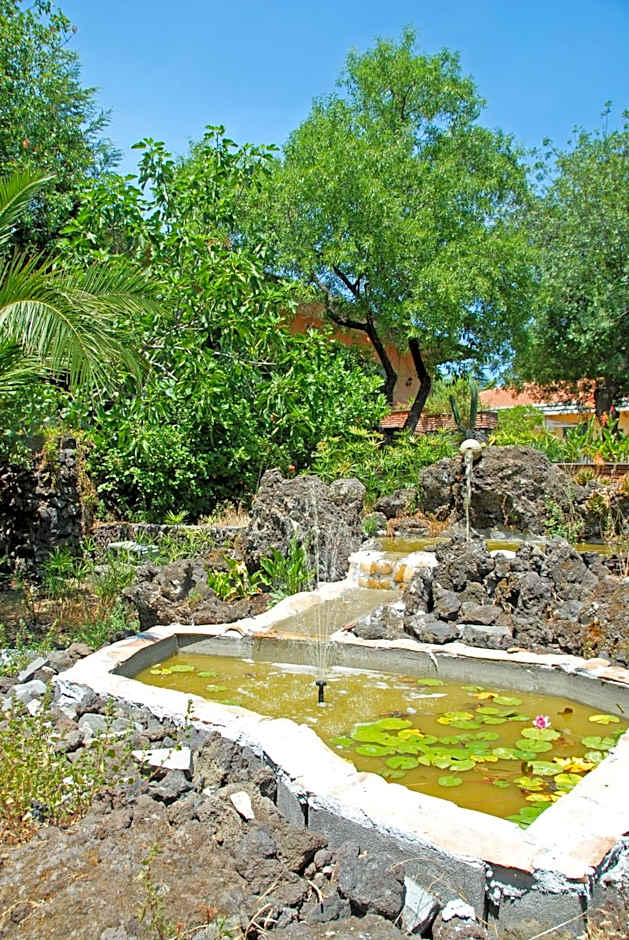Sotto Il Vulcano